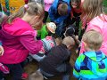 SAM_0371